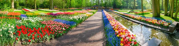 Πανόραμα της αρκετές flowerbeds με τουλίπες και άλλα λουλούδια — Φωτογραφία Αρχείου