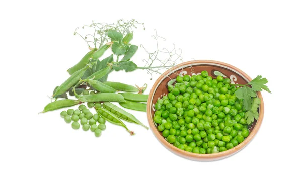 Blanchierte grüne Erbsen in Schale und Erbsenschoten und Zweig — Stockfoto