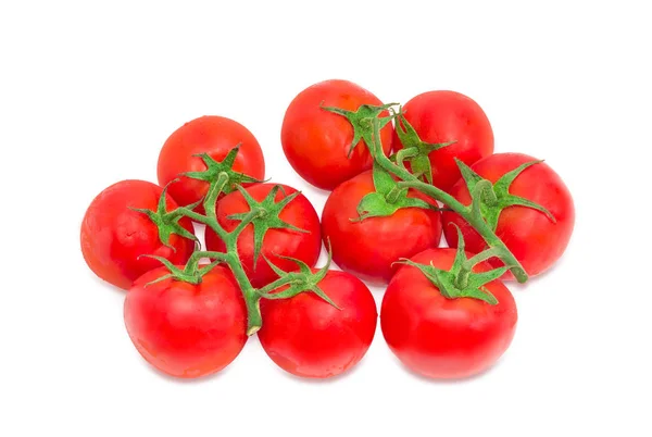 Zwei Zweige der reifen roten Tomaten — Stockfoto