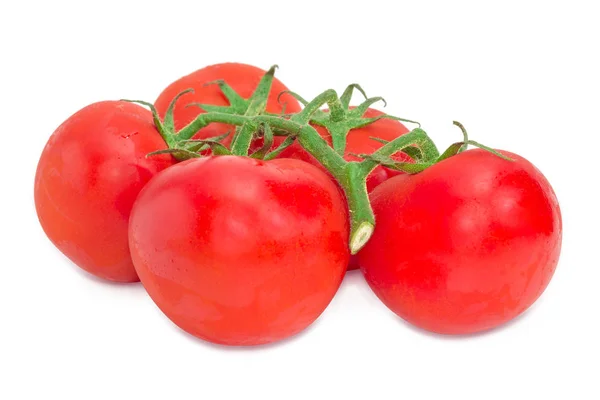 Ramo dos tomates vermelhos maduros closeup — Fotografia de Stock