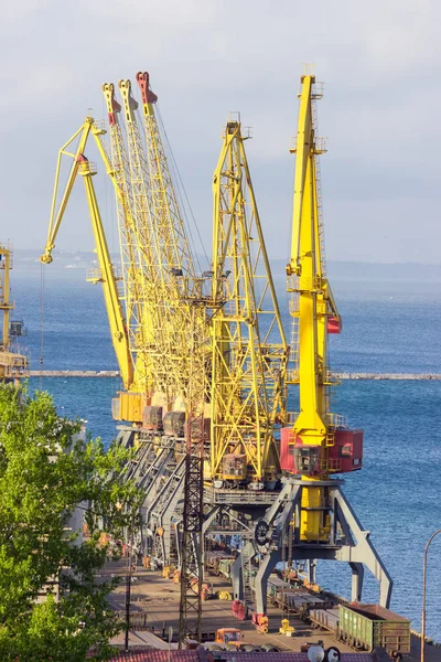 Grupo de grúas portuarias en puerto de carga marítima — Foto de Stock