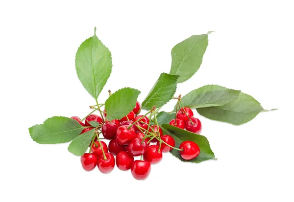 Montón de las cerezas dulces con hojas —  Fotos de Stock