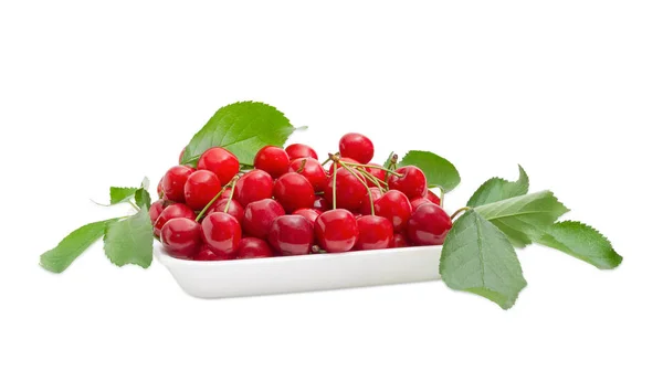 Cerises douces rouges avec feuilles dans le récipient alimentaire en mousse — Photo