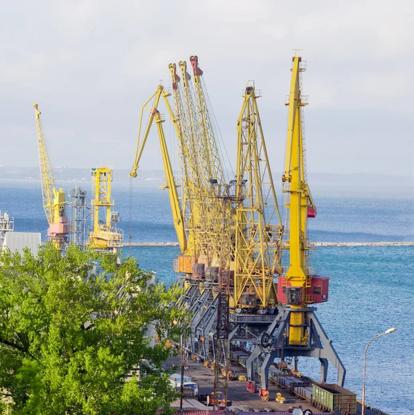 Grupo de grúas portuarias en puerto de carga marítima — Foto de Stock