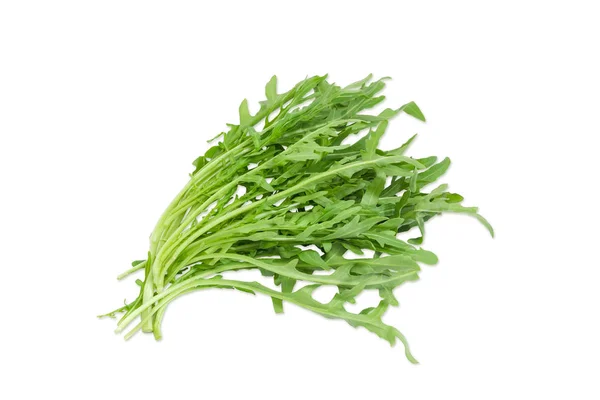 Bunch of the arugula on a light background — Stock Photo, Image