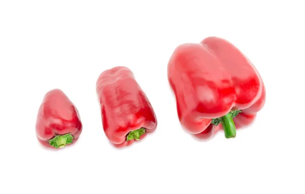 Röd paprika olika storlekar på en vit bakgrund — Stockfoto