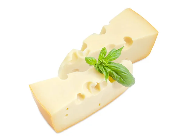 Deux morceaux de fromage de type suisse avec brindille de basilic — Photo