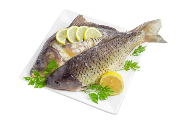 Two different carps prepared for cooking on dish — Stock Photo, Image