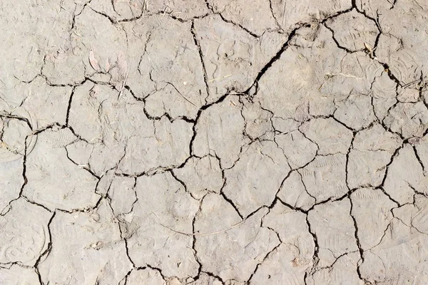 Texture of the dirt track covered with cracks closeup