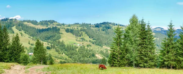 Карпатский пейзаж с горной деревней на склоне холма — стоковое фото