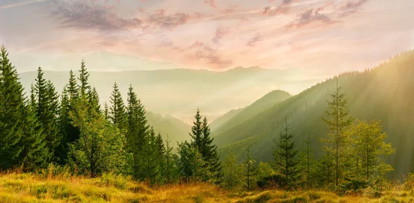 Panorama horské údolí s mlhou při východu slunce — Stock fotografie