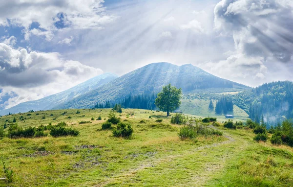 Carpathian landscape with mountain meadow in the foreground — Stock Photo, Image