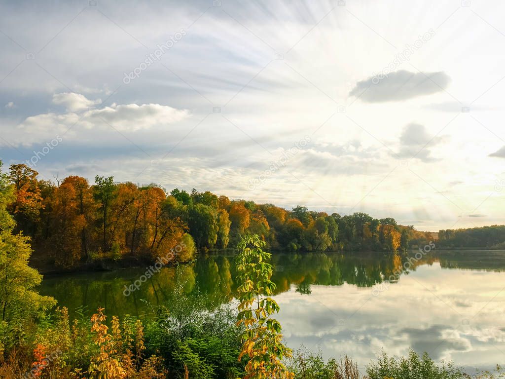 Autumn forest on the shore of the lake