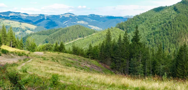 Карпатский пейзаж с горными склонами, заросшими лесом — стоковое фото