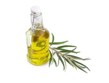 bir şişe zeytinyağı ve zeytin dalı