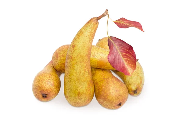 Several Bosc pears on a white background — Stock Photo, Image