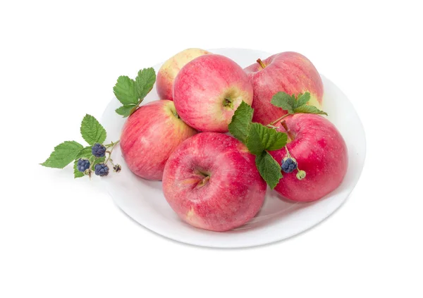 Red apples with blackberry on a white dish — Stock Photo, Image