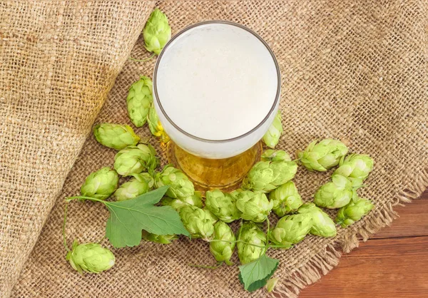 Bardak bira arasında bir çul üzerinde hop koniler