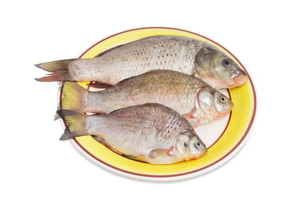 Carp and two crucian carps prepared for cooking on dish — Stock Image Carp and two crucian carps prepared for cooking on dish Royalty Free Stock Images