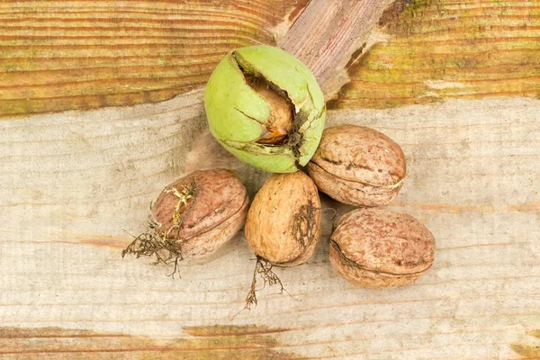 Verschillende vers geoogste walnoten op een houten ondergrond — Stockfoto