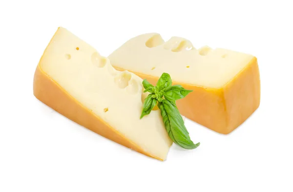 Two pieces of Swiss-type cheese with basil twig — Stock Photo, Image