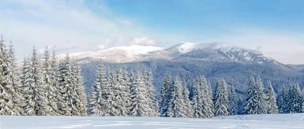 Panorama över bergskedjan vintern i Karpaterna — Stockfoto