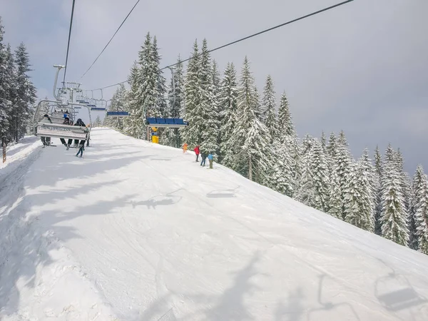 Chairlift에서 가문비나무 숲 가운데 스키 피스트 — 스톡 사진