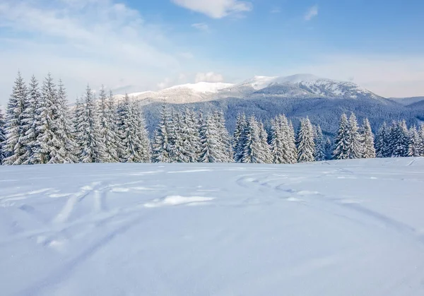 Chaîne de montagnes dans les Carpates en hiver — Photo
