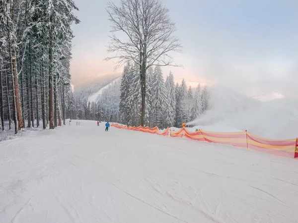 Skihang inmitten von Fichtenwäldern in Skigebiet in den Karpaten — Stockfoto