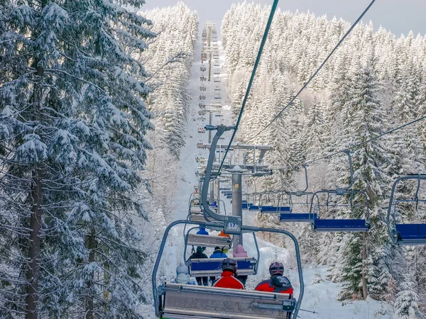 Chairlift in a spruce forest on ski resort in Carpathians