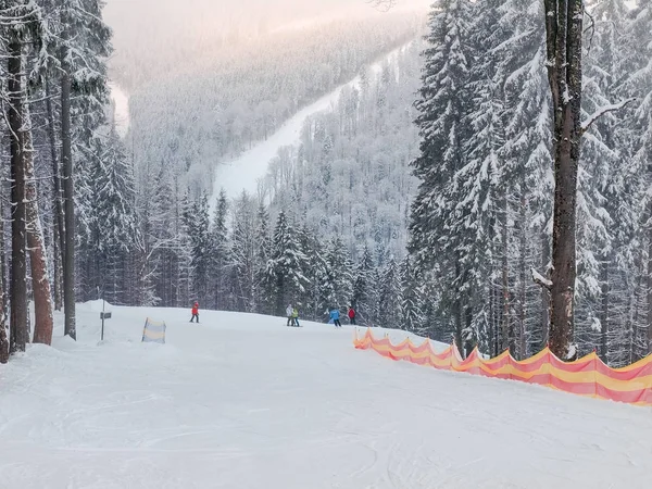 Skihang inmitten von Fichtenwäldern in Skigebiet in den Karpaten — Stockfoto