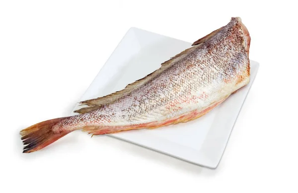 Carcaça do bacalhau vermelho não cozido no prato branco — Fotografia de Stock