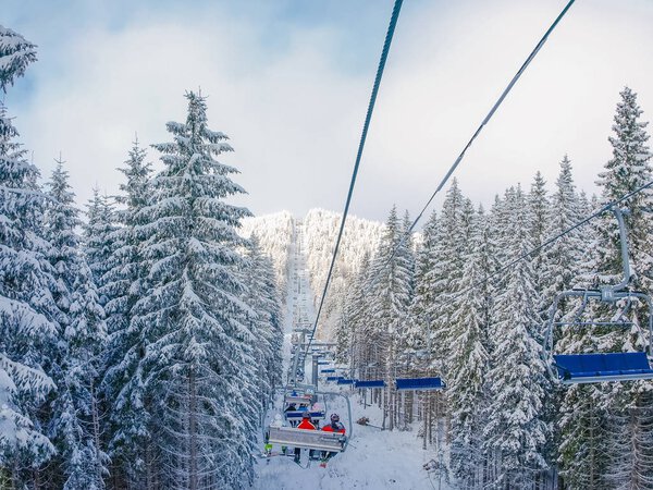 Chairlift in a spruce forest on ski resort in Carpathians