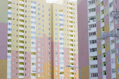 Apartman foregro çam dalları ile parçası