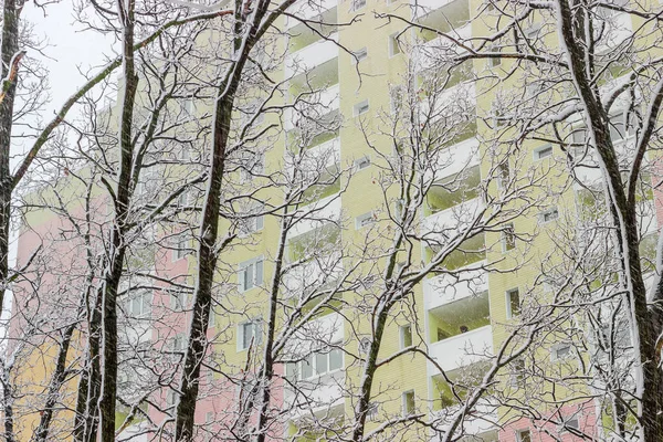 Fragmento do prédio de apartamentos através das árvores cobertas de neve — Fotografia de Stock