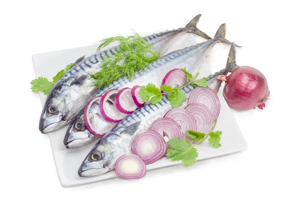 白色背景的生大西洋鲭鱼、洋葱和野菜 — 图库照片