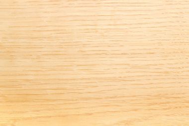 Arka plan açık renkli meşe plank portre