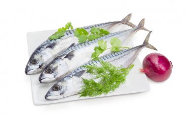 Pişmemiş uskumru, soğan ve otlar üzerinde beyaz bir tabak