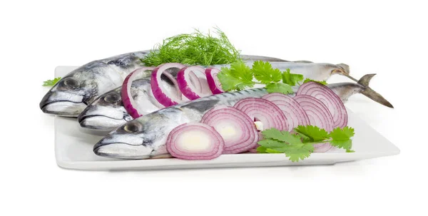 Makrele, Zwiebeln und Topfen ungekocht auf einem weißen Teller — Stockfoto