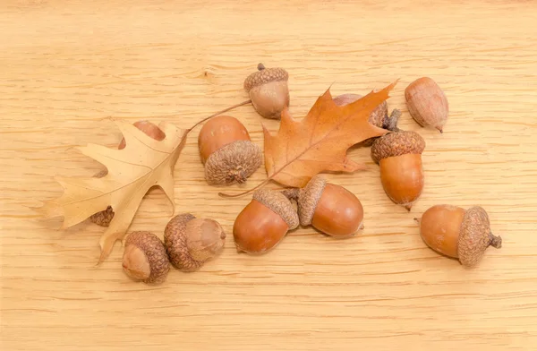 Ripe acorns and autumn oak leaves on a oak planks