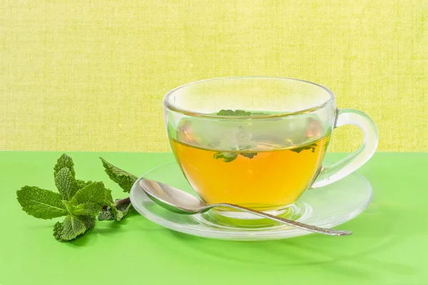 Чай с мятой в стеклянной чашке на зеленом фоне — стоковое фото