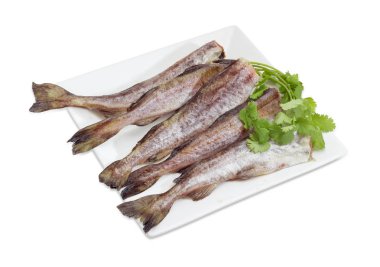 Salantro ile Alaska pollock pişmemiş mürekkep