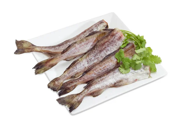 Ongekookt karkassen van de Alaskakoolvis met koriander — Stockfoto