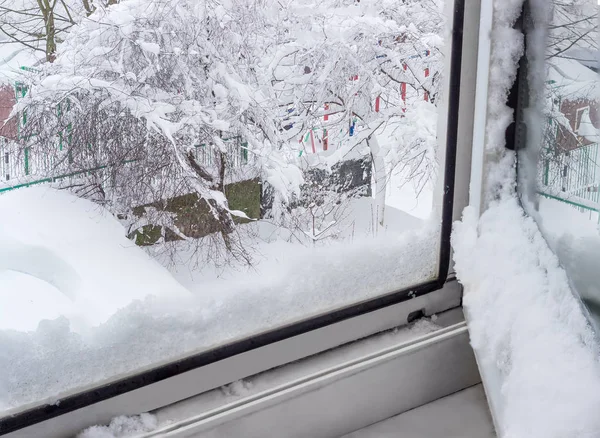 雪に覆われた木の開いているウィンドウを表示します。 — ストック写真