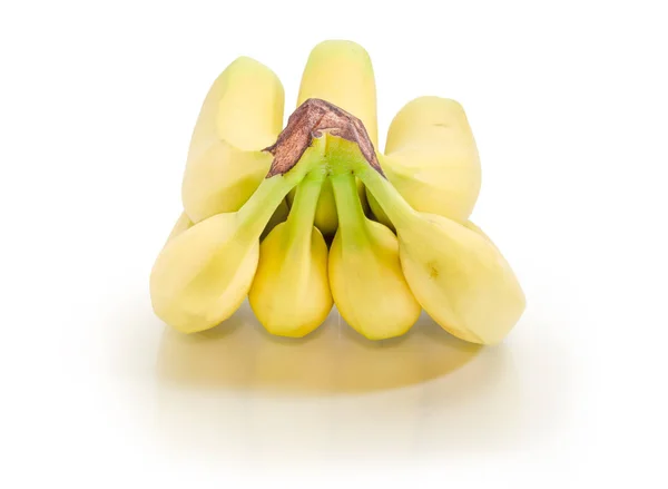 白い背景の上にバナナのクラスター — ストック写真