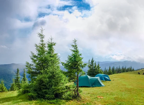 Mountain glade and two hiking tents in Carpathians after rain — Stock Photo, Image