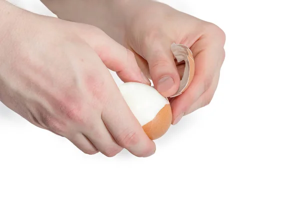 Ovo de galinha cozido em mãos humanas durante a limpeza da casca de ovo — Fotografia de Stock