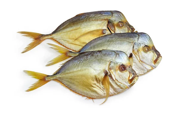 Üç beyaz bir arka plan üzerinde Atlantik moonfish füme