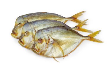 Üç beyaz bir arka plan üzerinde Atlantik moonfish füme