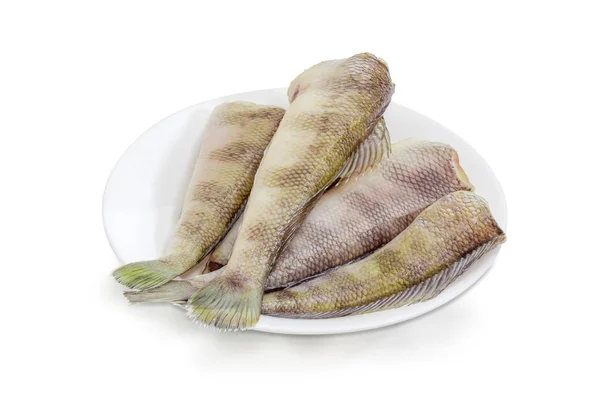 Неприготовленная рыба нотофения на белом блюде — стоковое фото